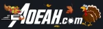 aoeah.com