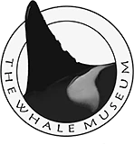 whalemuseum.org