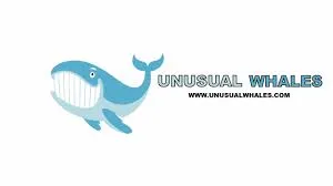 unusualwhales.com