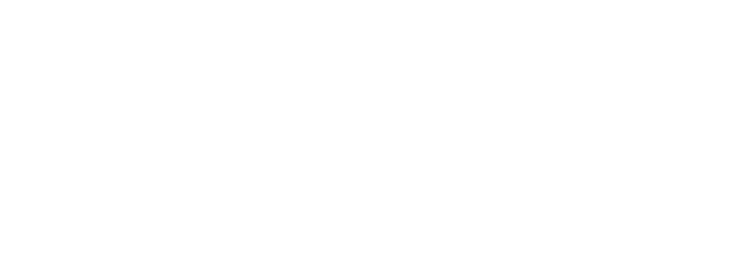 thecrane.com