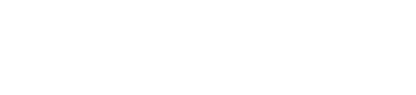 sneek.io