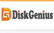 diskgenius.com